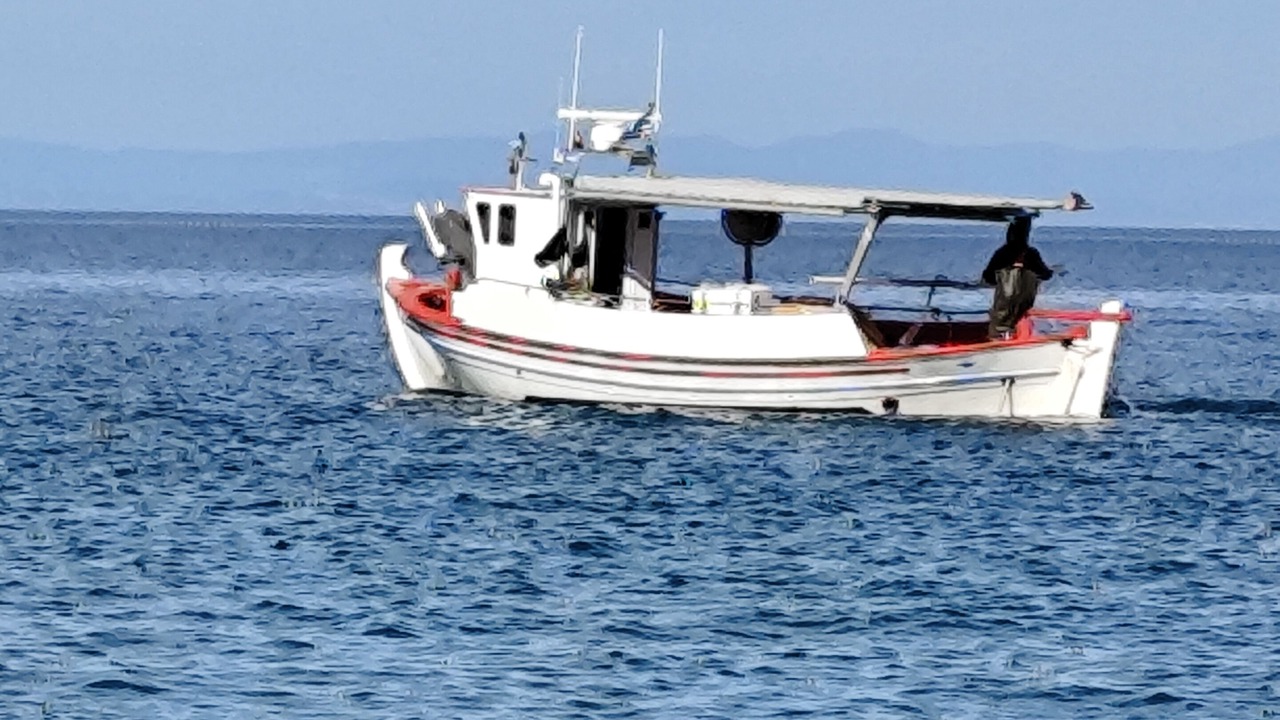 Photo of Others in Leptokaria