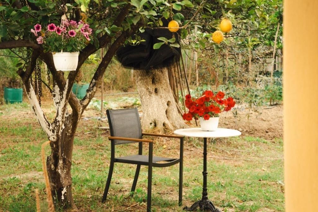 Photo of Outdoor in Molos