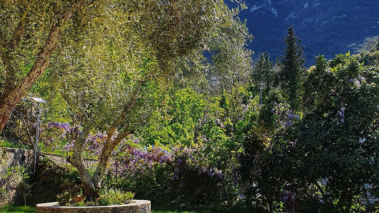 Photo of Outdoor in Vatos