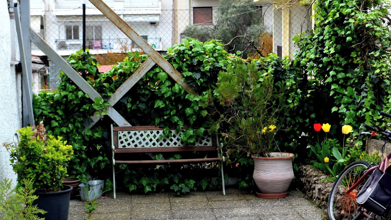 Photo of Outdoor in Drama