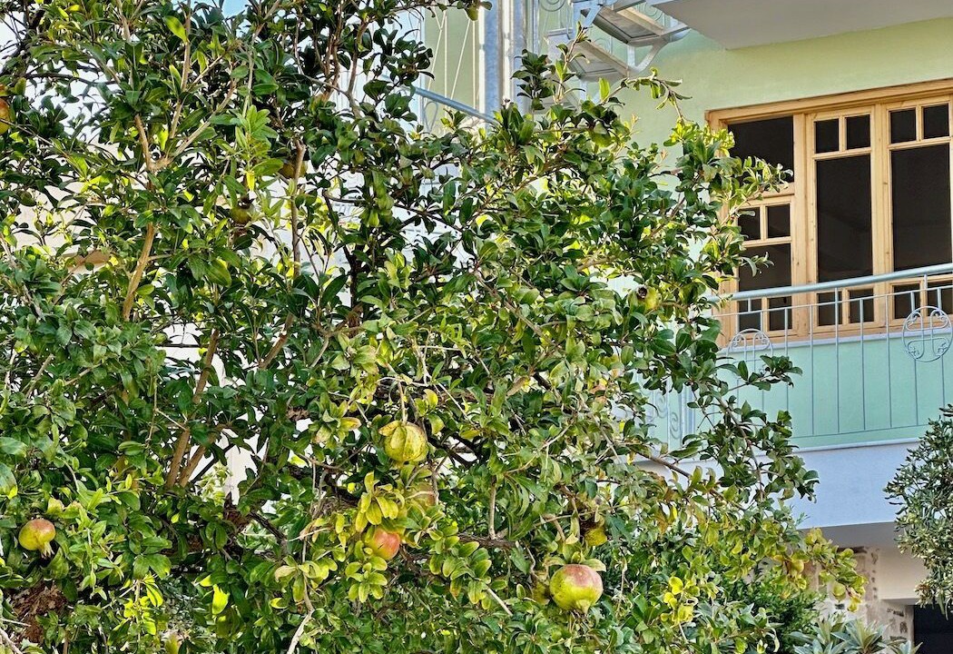 Photo of Outdoor in Karystos
