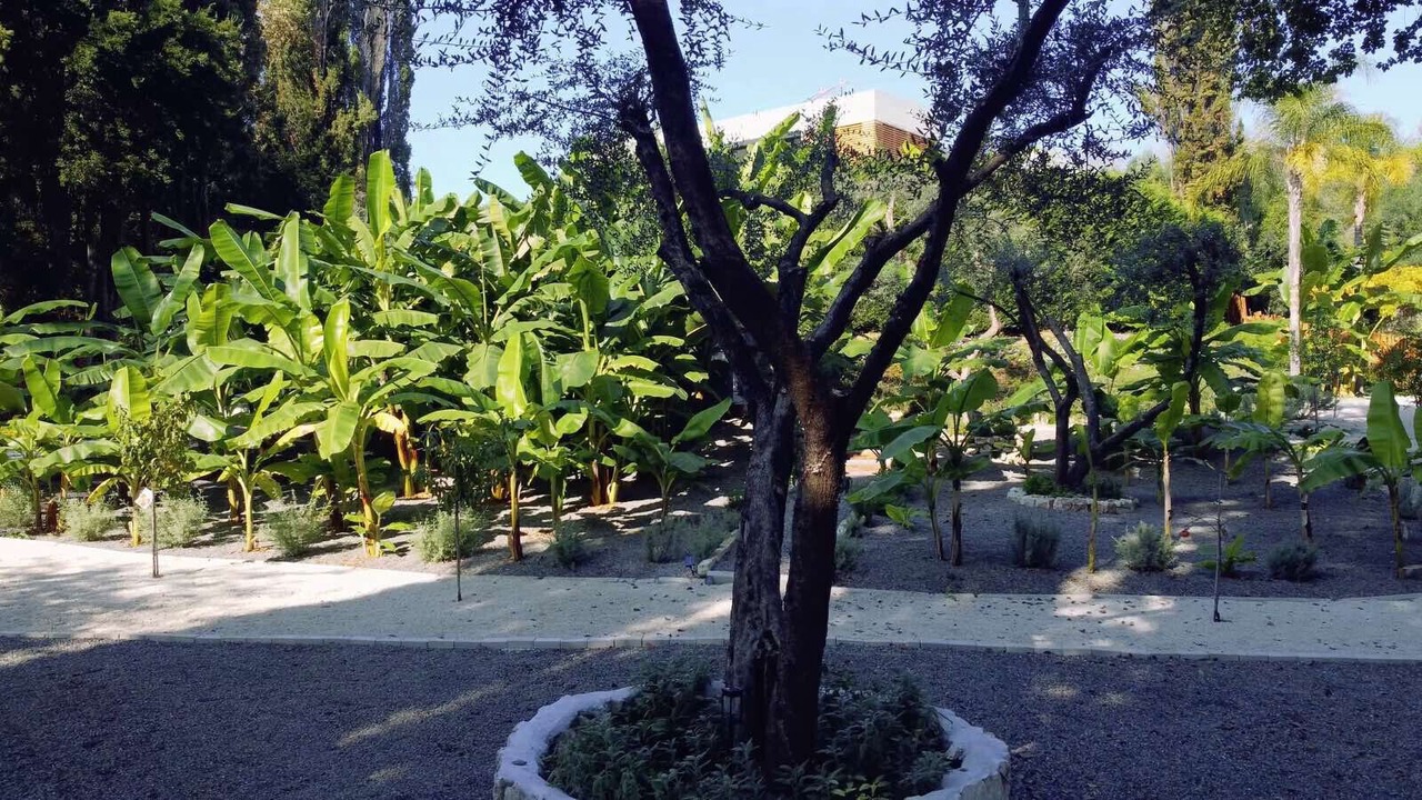 Photo of Outdoor in Potamos