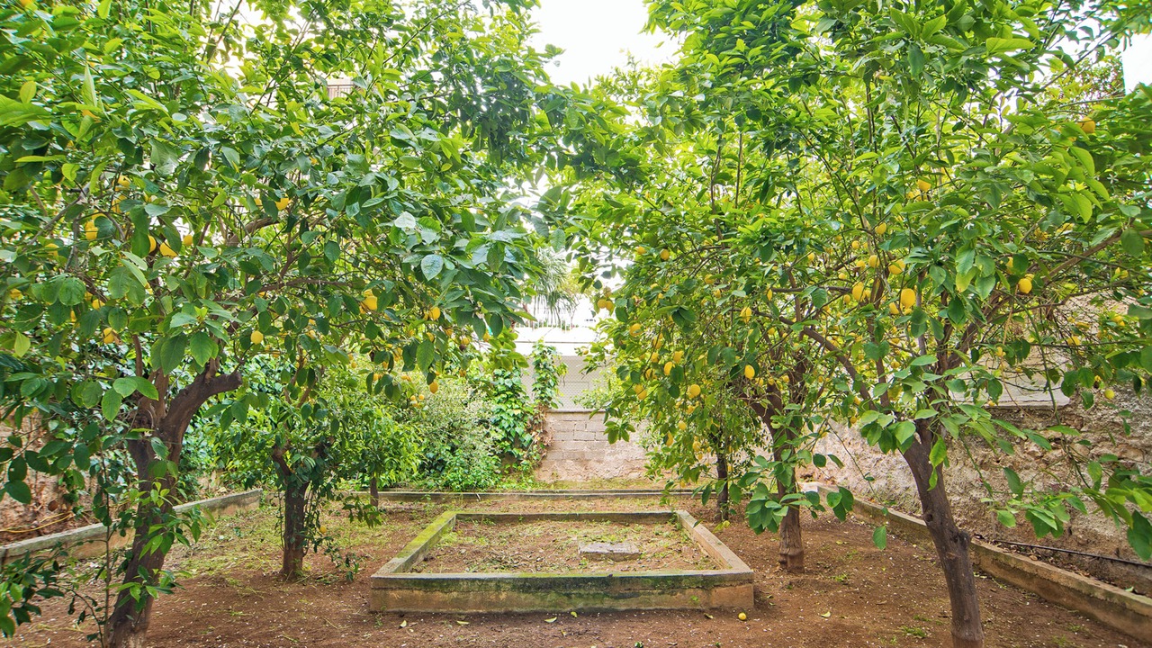 Photo of Outdoor in Nea Smirni