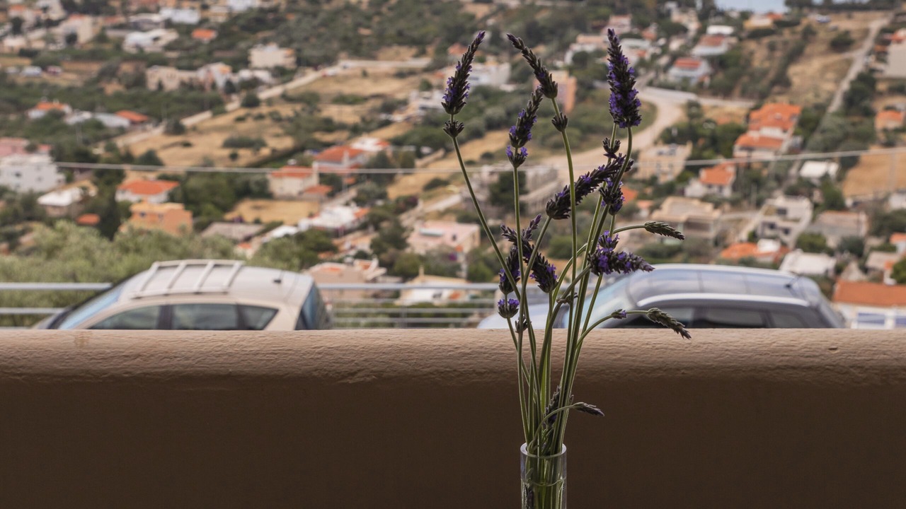 Photo of Outdoor in Saronikos