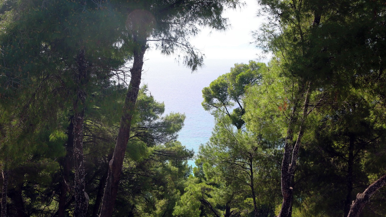 Photo of Others in Halkidiki