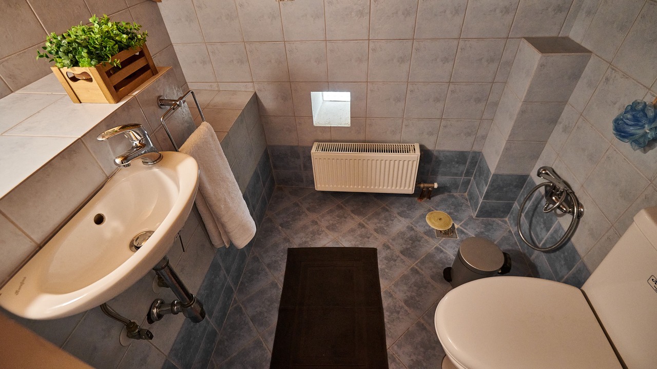 Photo of Bathroom in Pallini