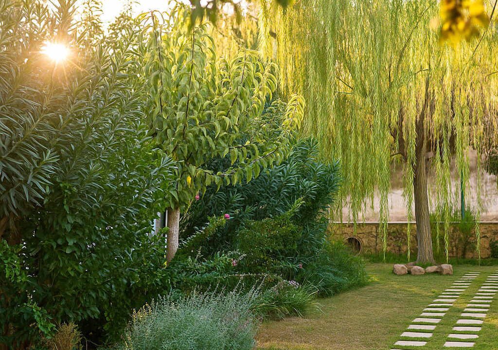 Photo of Outdoor in Gialos