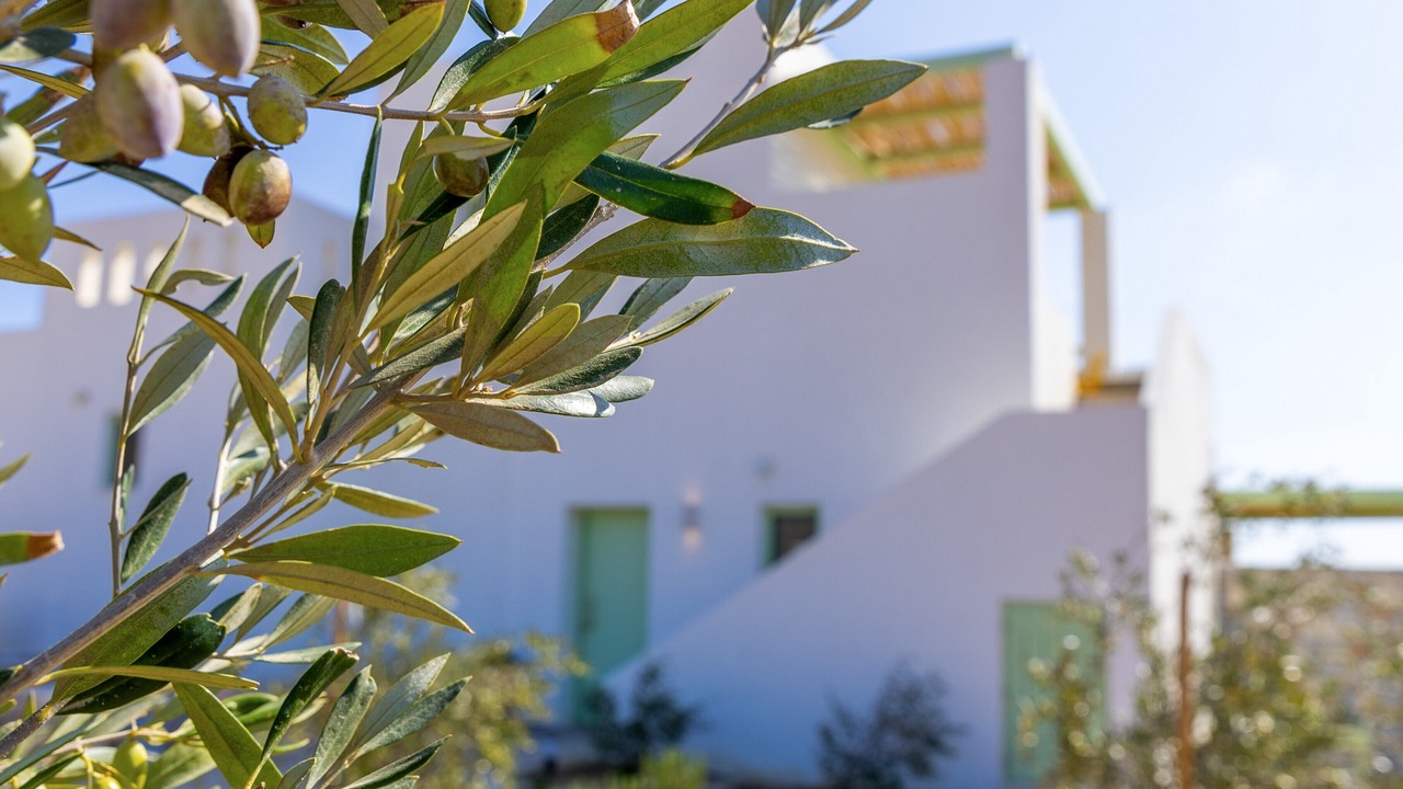 Photo of Outdoor in Naxos