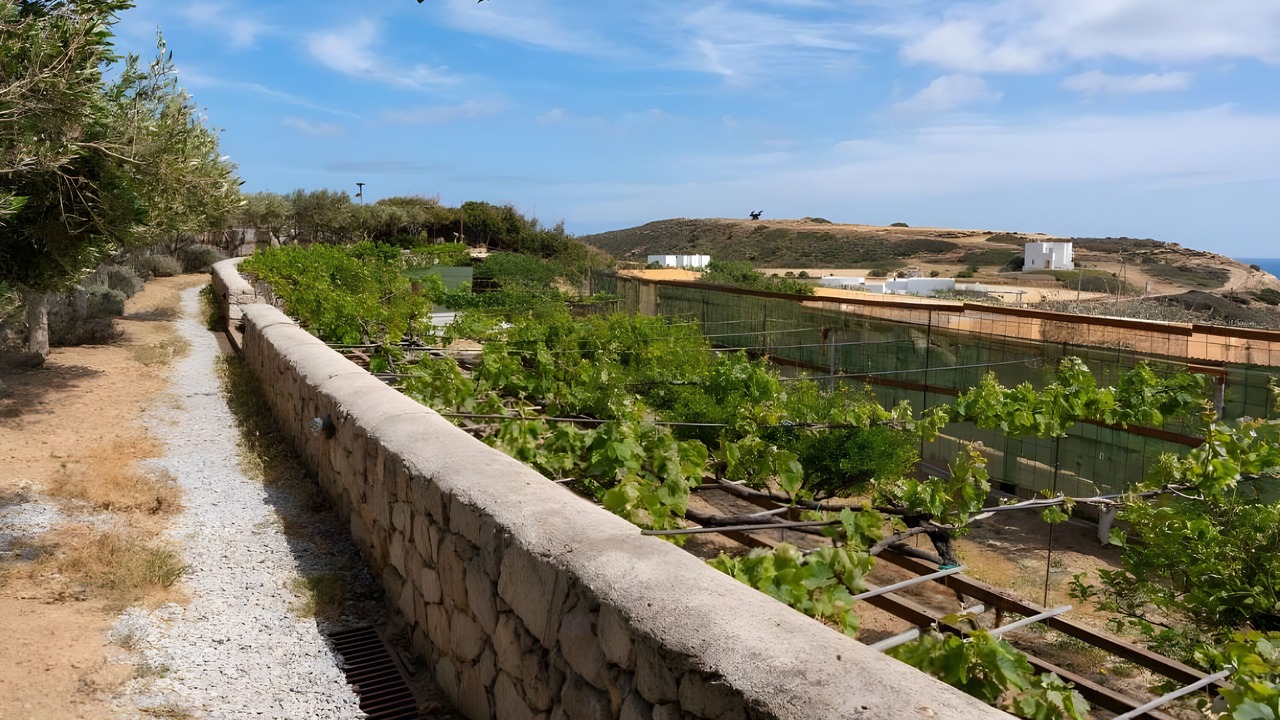 Photo of Outdoor in Milos