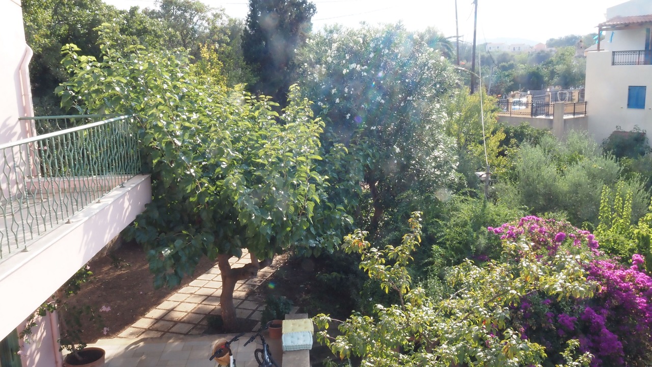 Photo of Outdoor in Prines