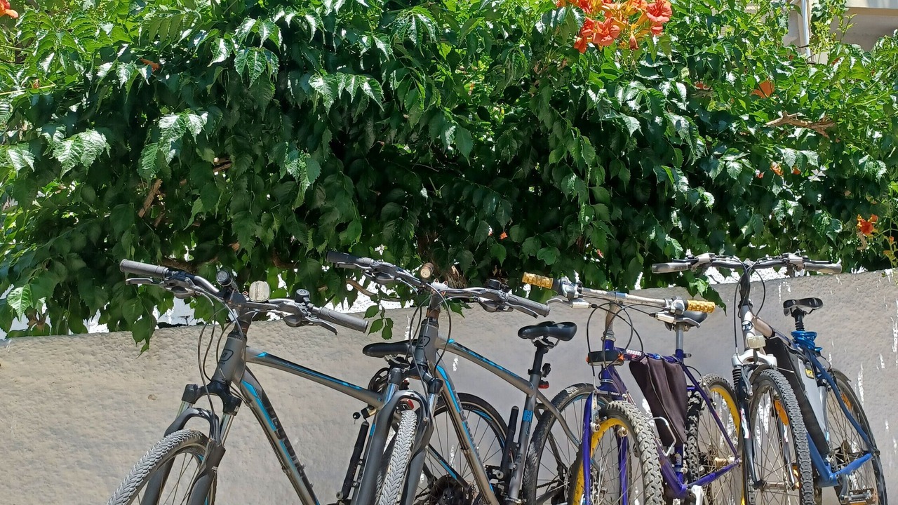 Photo of Outdoor in Marathias
