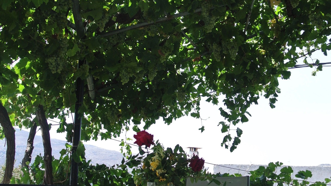Photo of Outdoor in Vizari