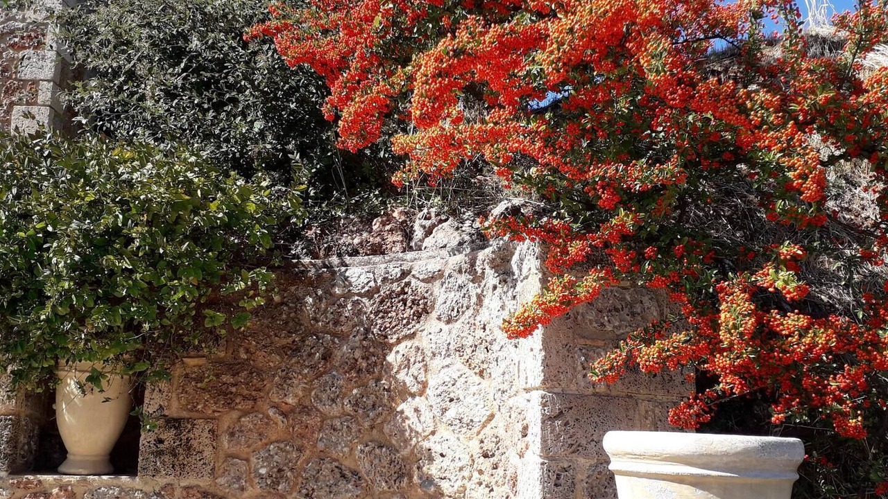 Photo of Outdoor in Egira