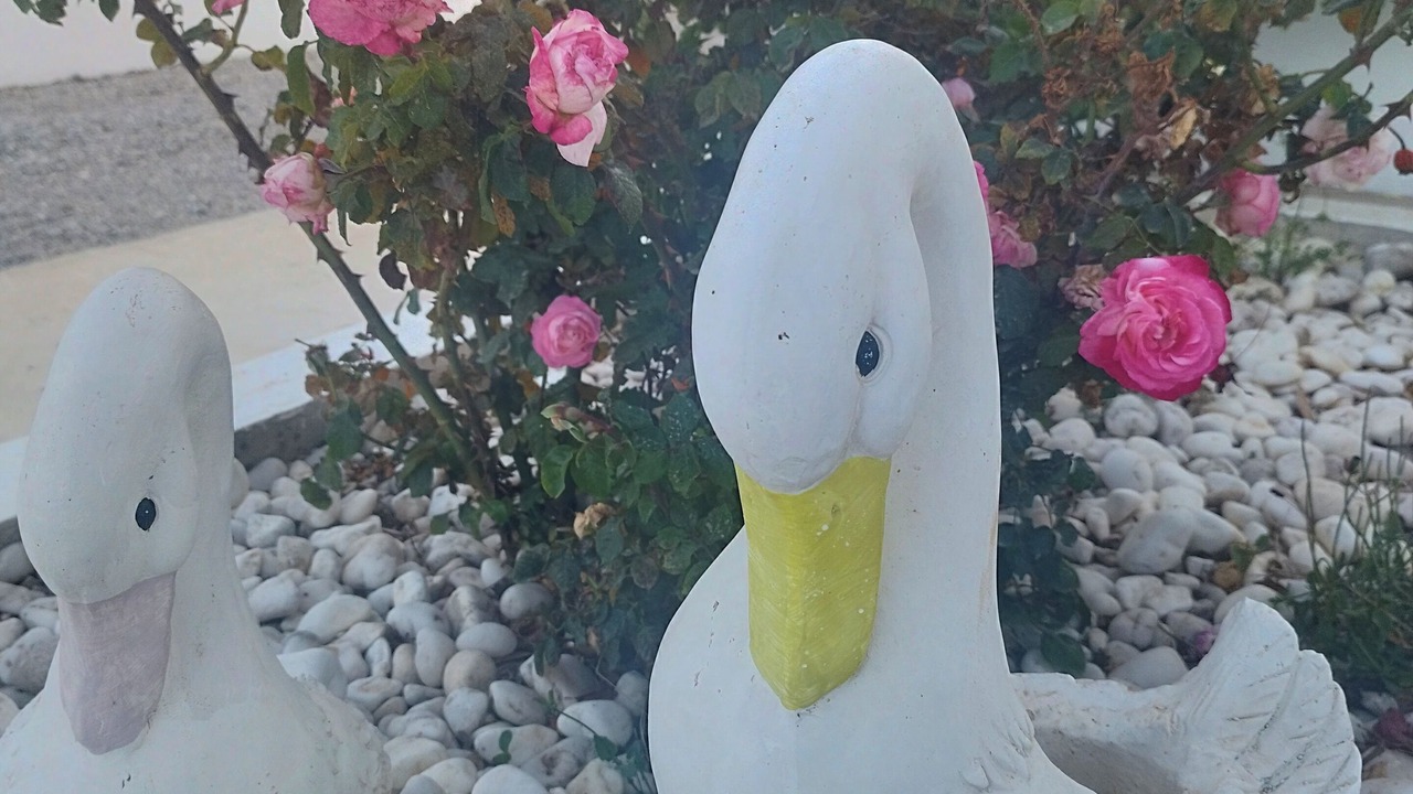 Photo of Outdoor in Milos