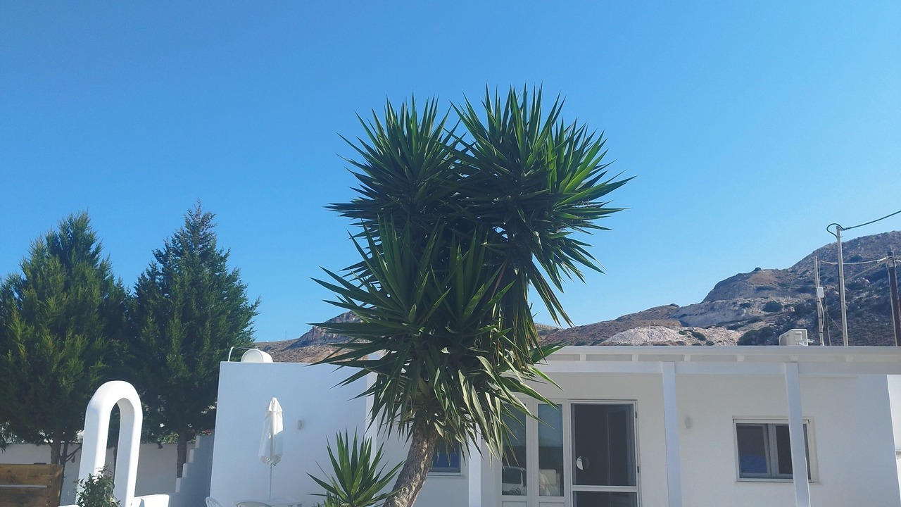 Photo of Outdoor in Milos