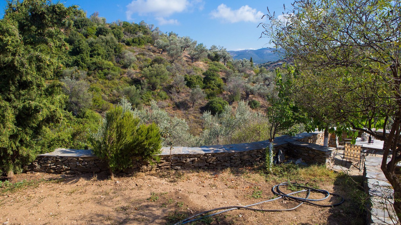 Photo of Outdoor in Steni Dirfyos