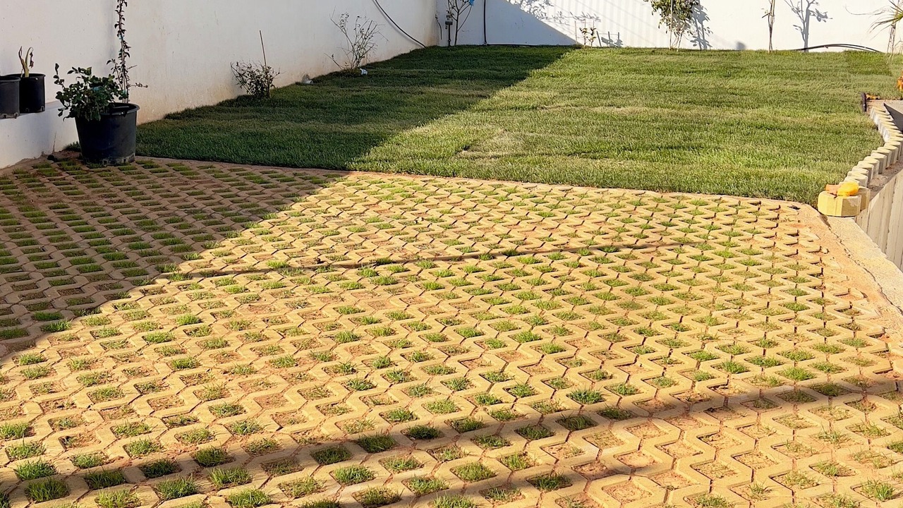 Photo of Outdoor in Lagonissi