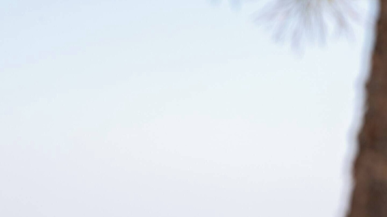 Photo of Others in Vouliagmeni