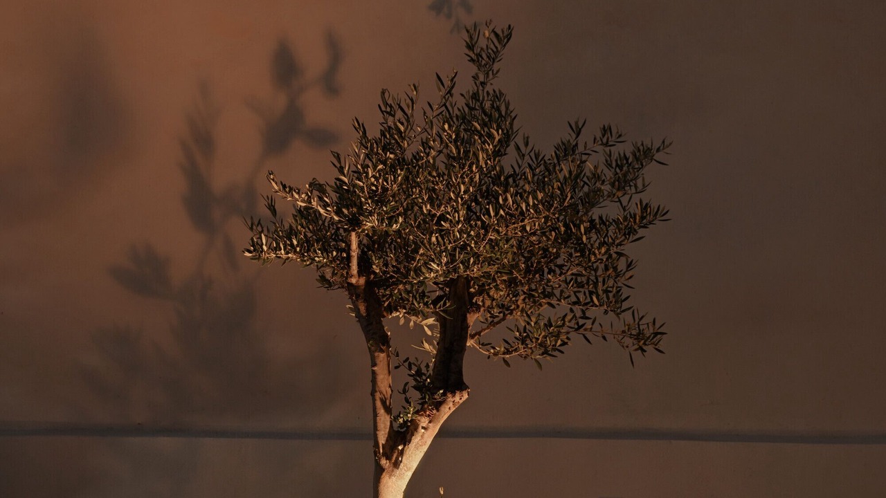 Photo of Outdoor in Naxos