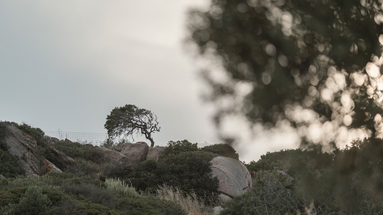 Photo of Others in Naxos
