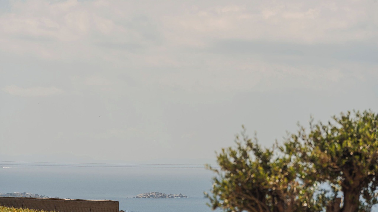 Photo of Others in Naxos