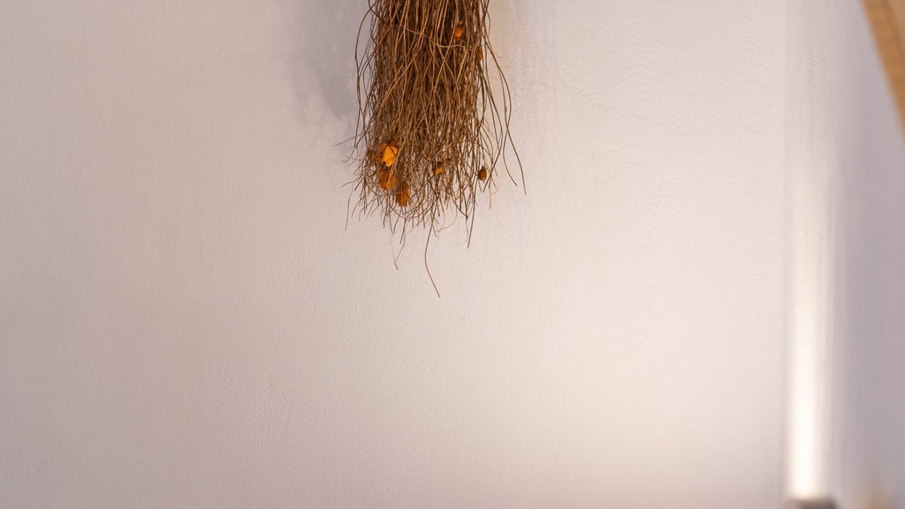 Photo of Others in Platis Gialos