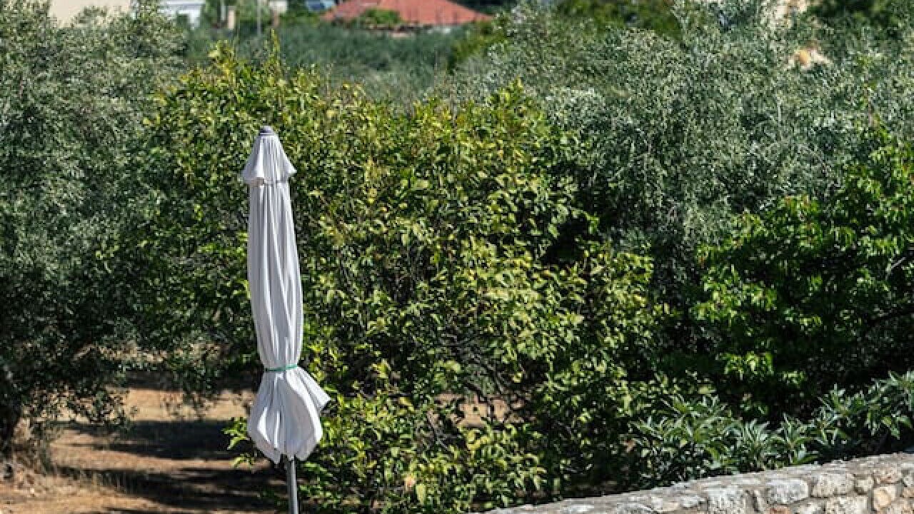 Photo of Outdoor in Tavronitis
