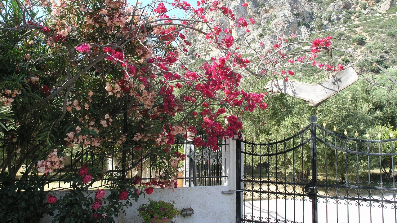 Photo of Outdoor in Kantanos-Selino