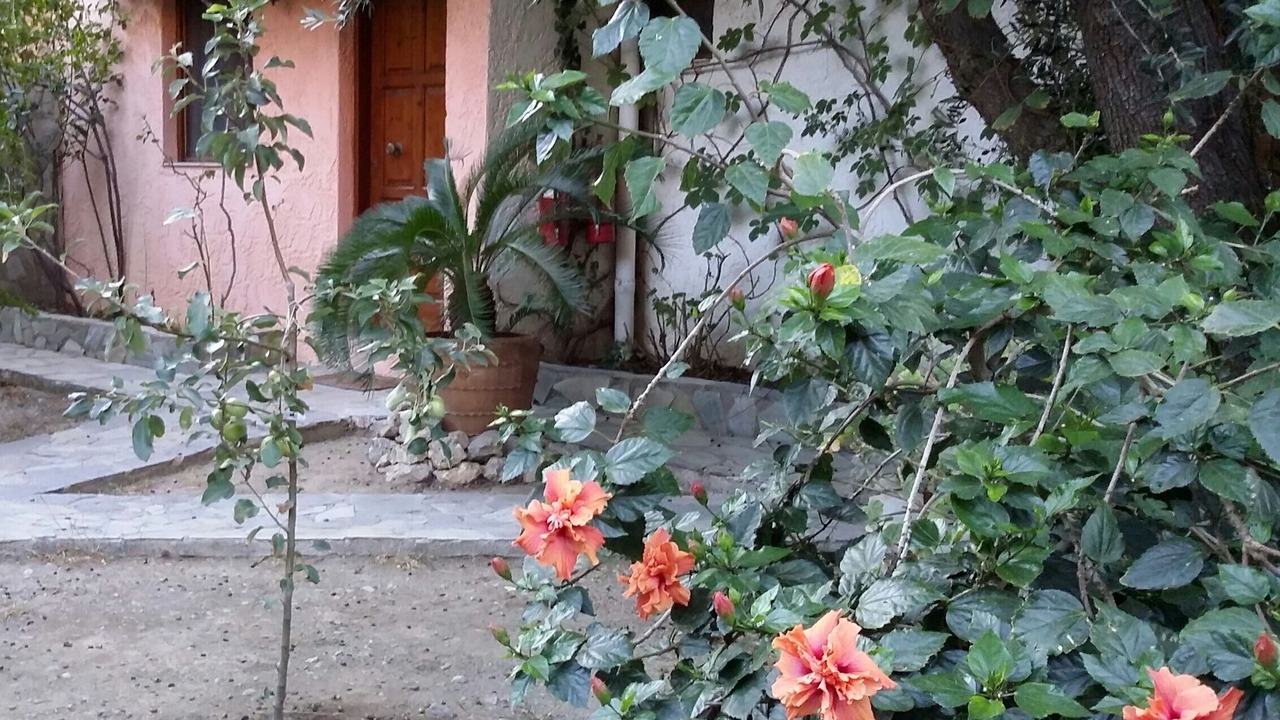 Photo of Outdoor in Kantanos-Selino