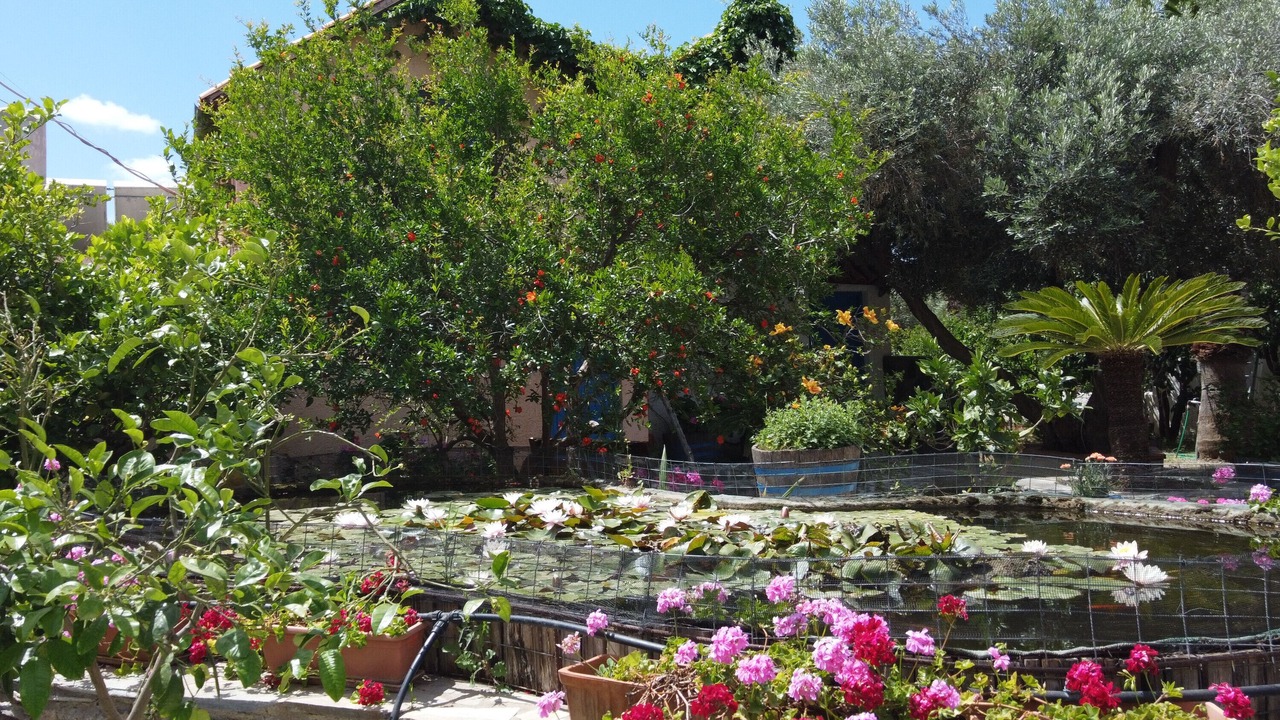 Photo of Outdoor in Kantanos-Selino