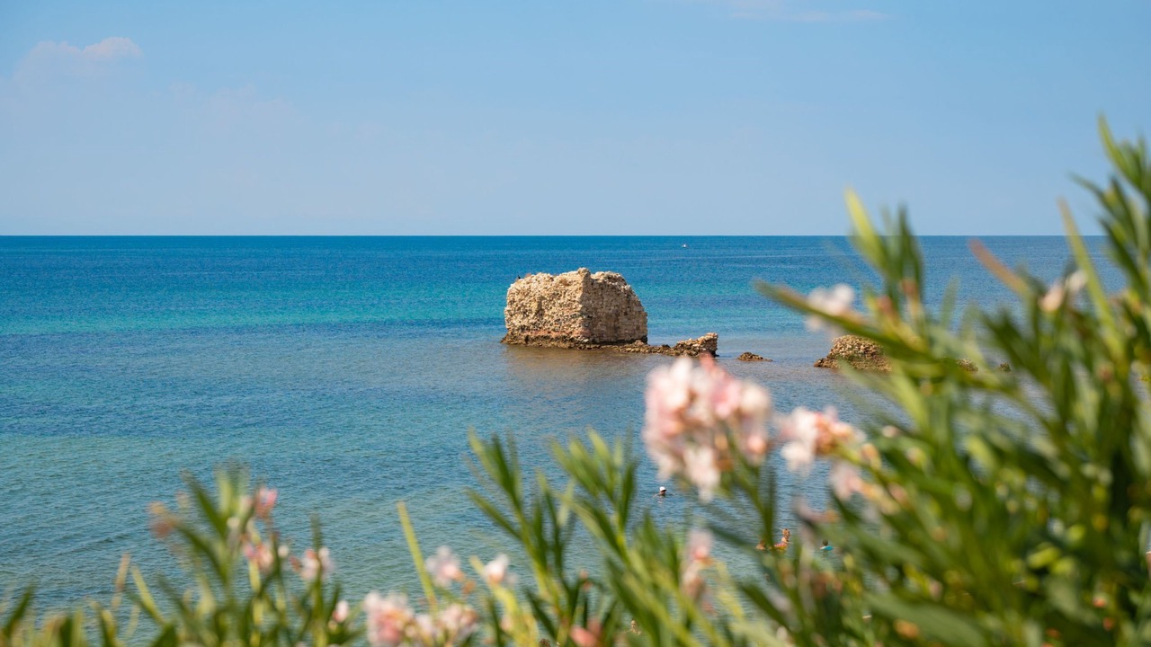 Photo of Others in Haniotis