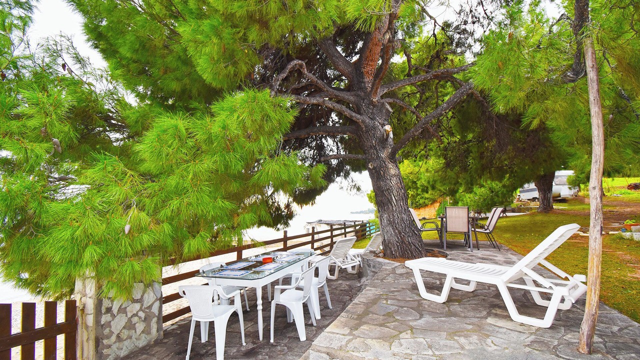 Photo of Others in Metamorfosi