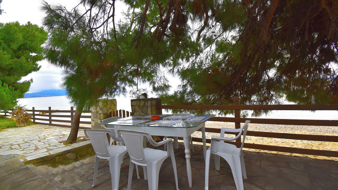 Photo of Others in Metamorfosi