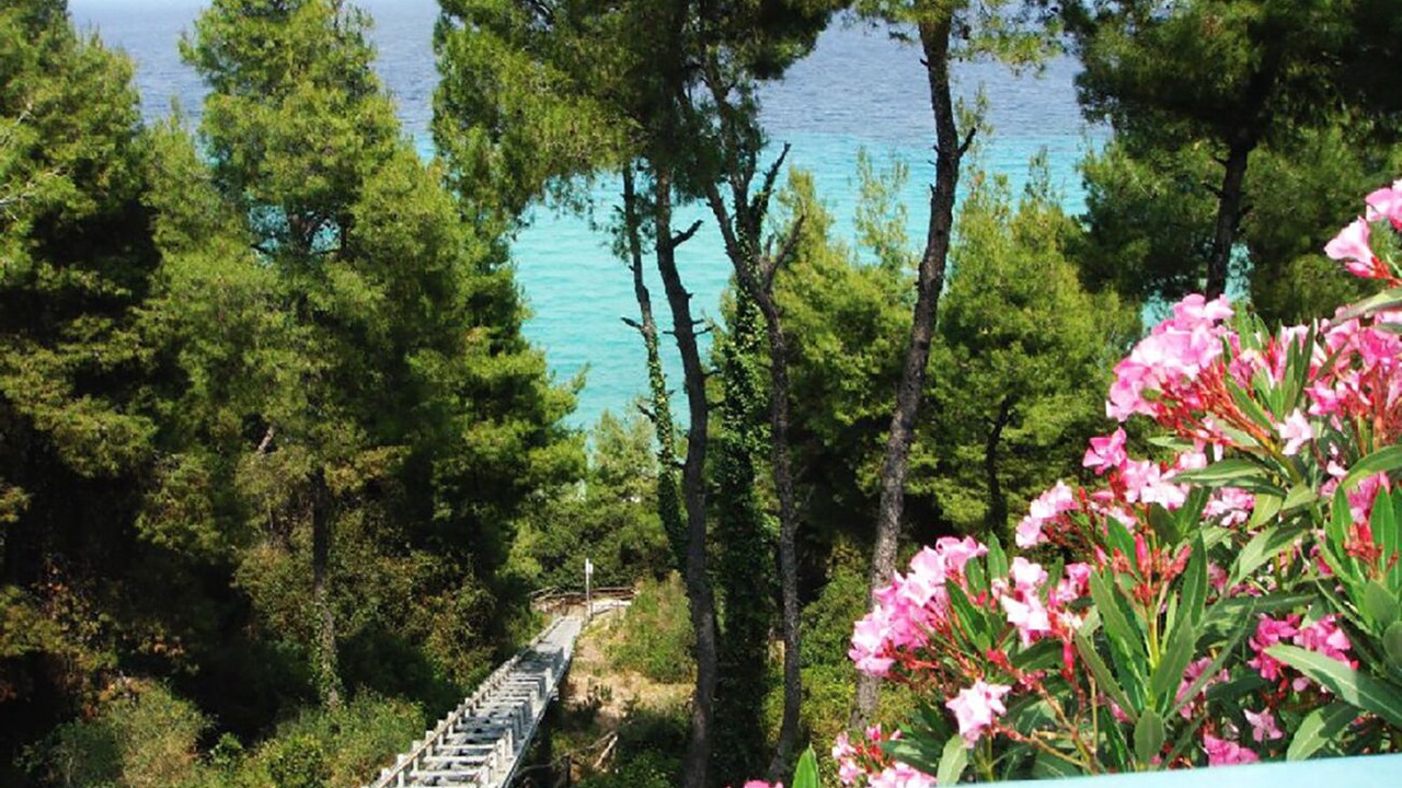 Photo of Outdoor in Afytos