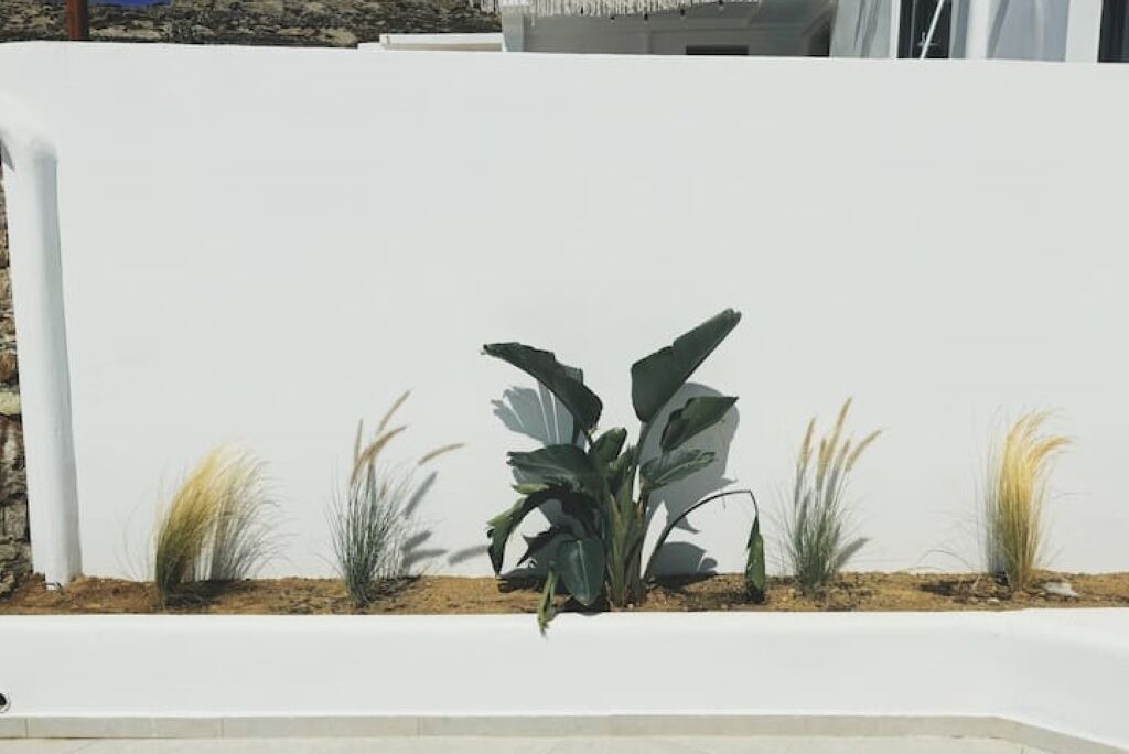 Photo of Outdoor in Ano Mera