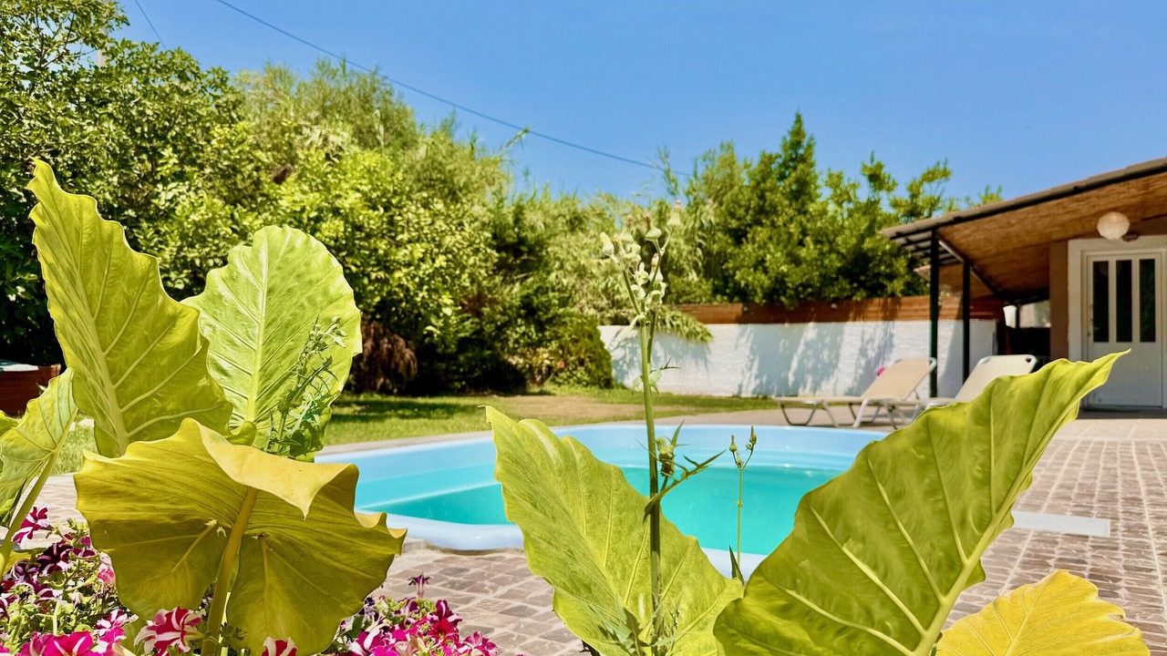 Photo of Outdoor in Ipsos
