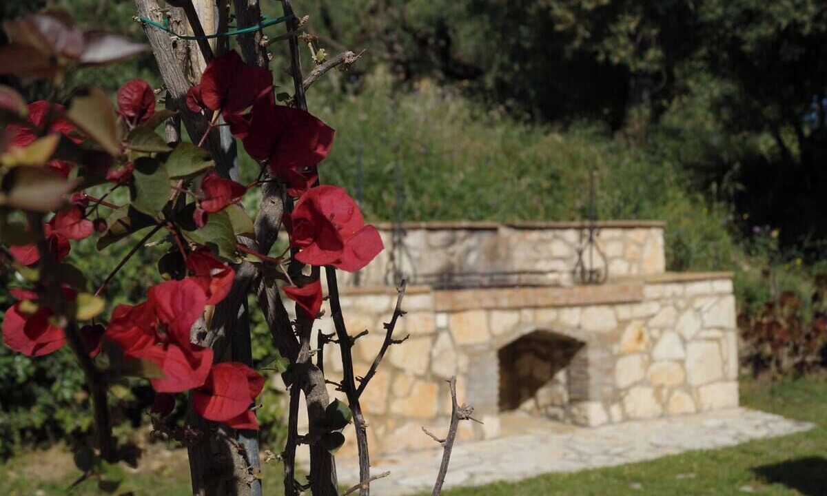 Photo of Outdoor in Lithakia