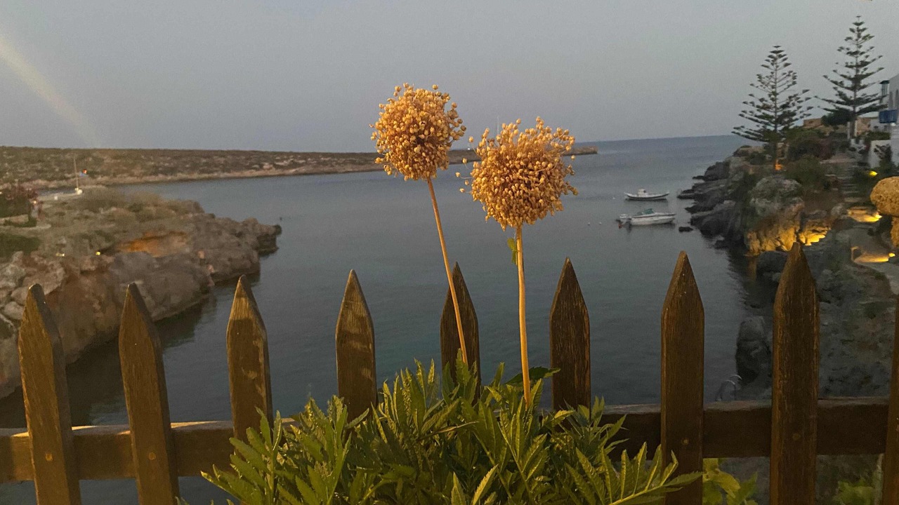 Photo of Others in Kithira