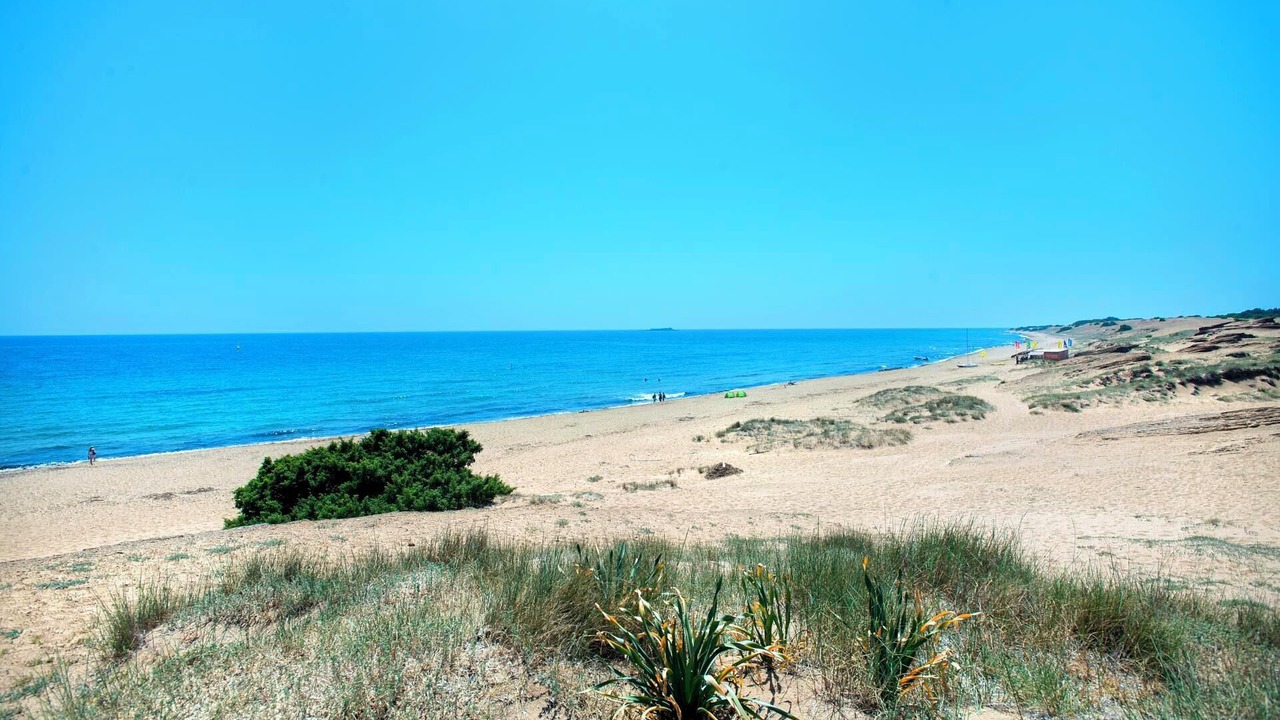 Photo of Others in Dafnata
