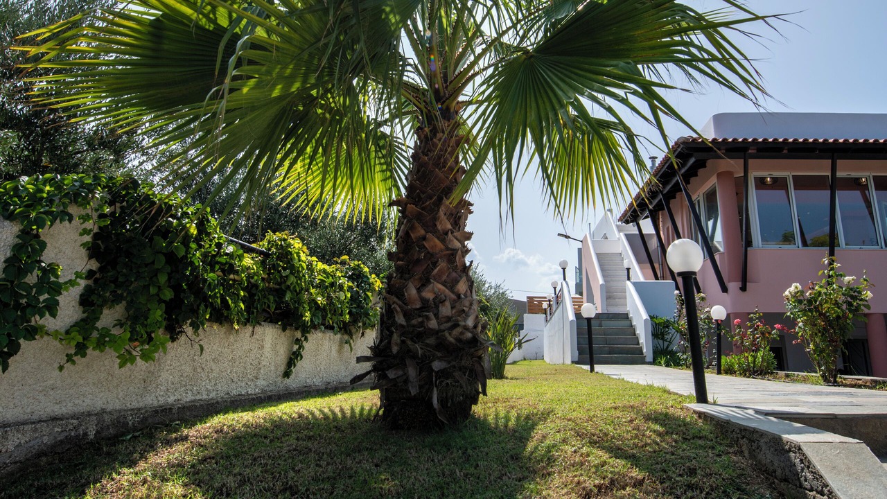 Photo of Outdoor in Rapaniana