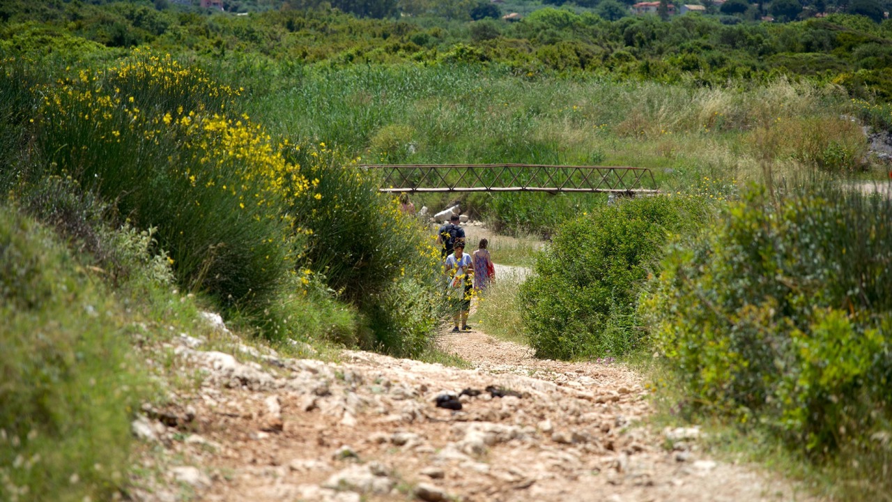 Photo of Outdoor in Kassiopi