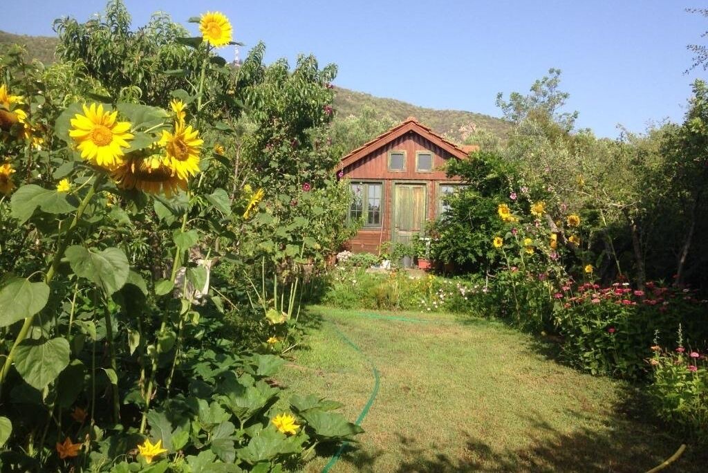 Photo of Outdoor in Asprovalta