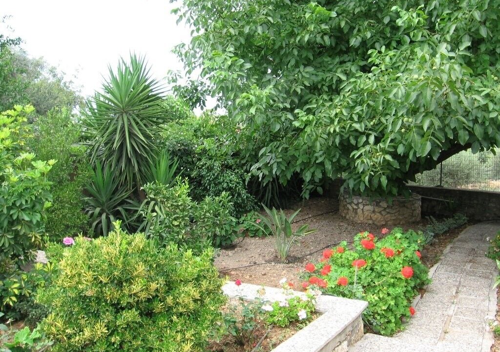 Photo of Outdoor in Prines