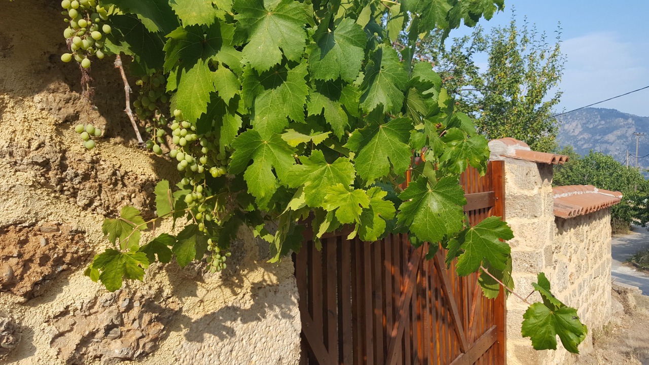 Photo of Outdoor in Egira