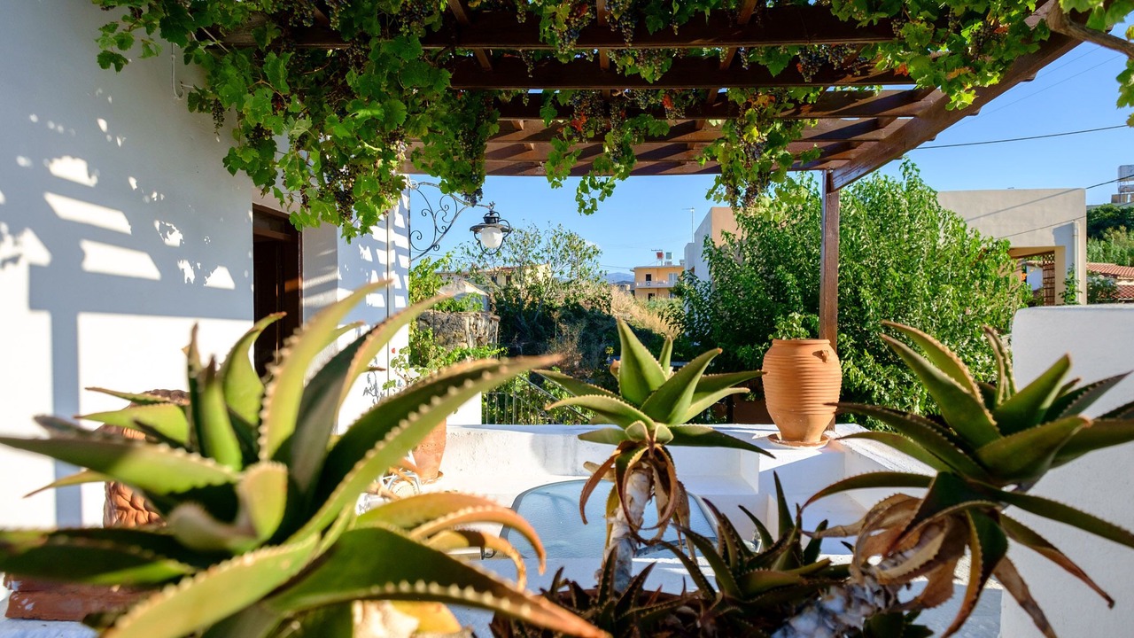 Photo of Outdoor in Rapaniana