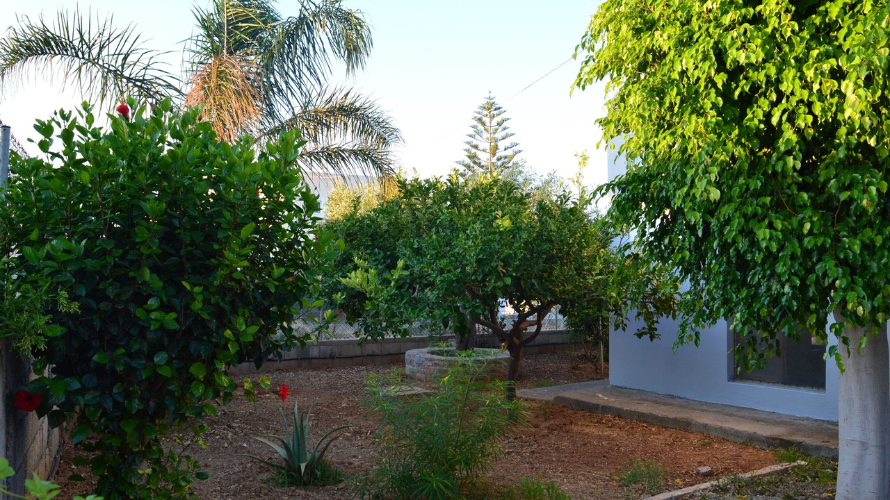 Photo of Outdoor in Karteros