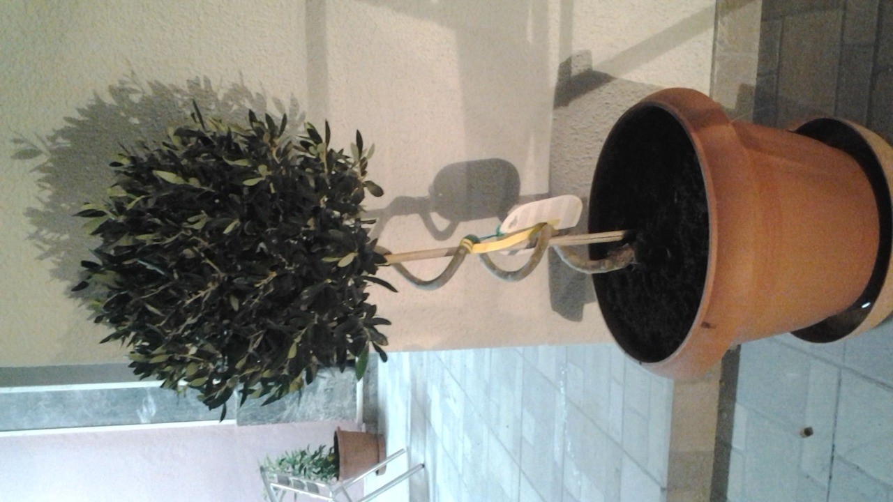 Photo of Outdoor in Chios