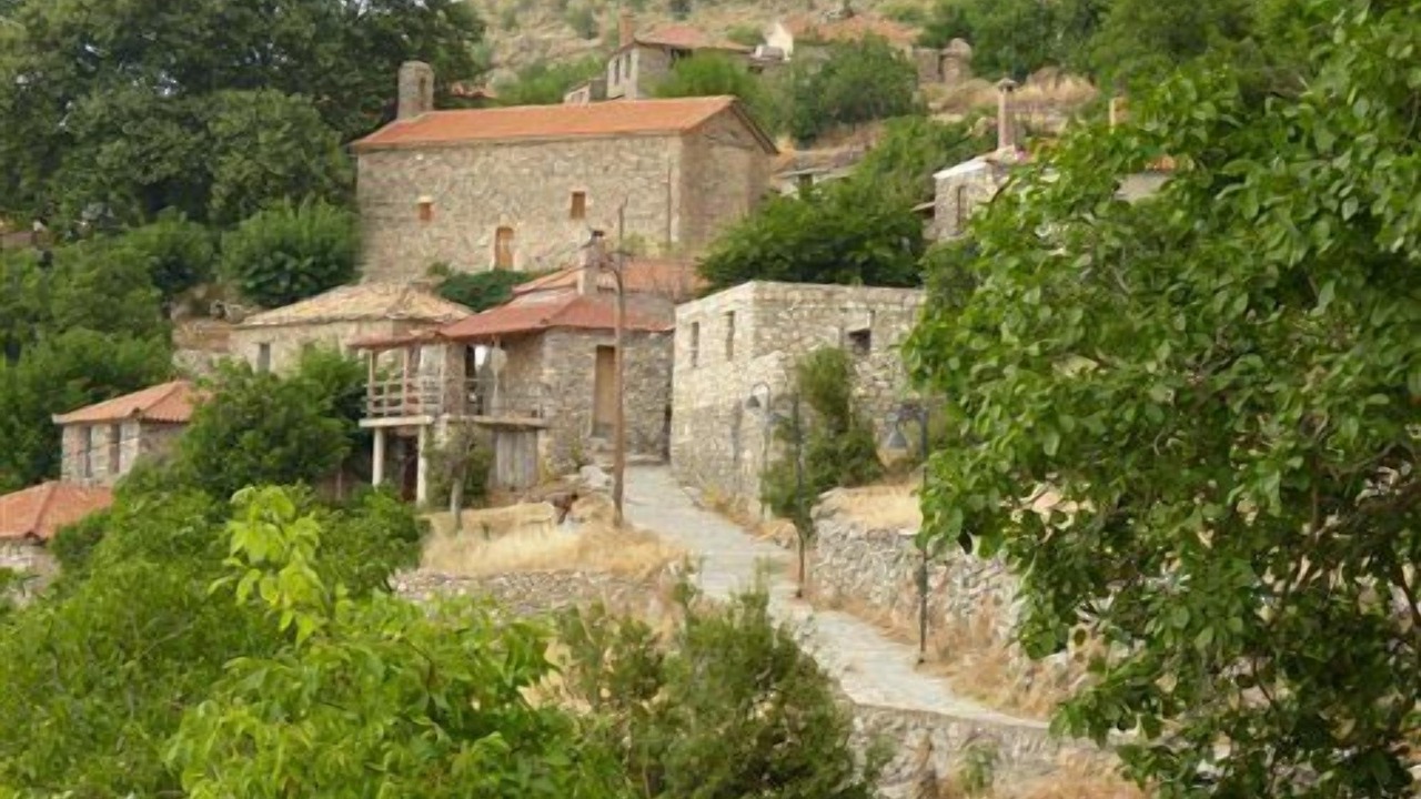Photo of Outdoor in Diasella