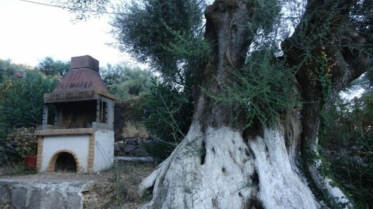 Photo of Outdoor in Mikros Gialos