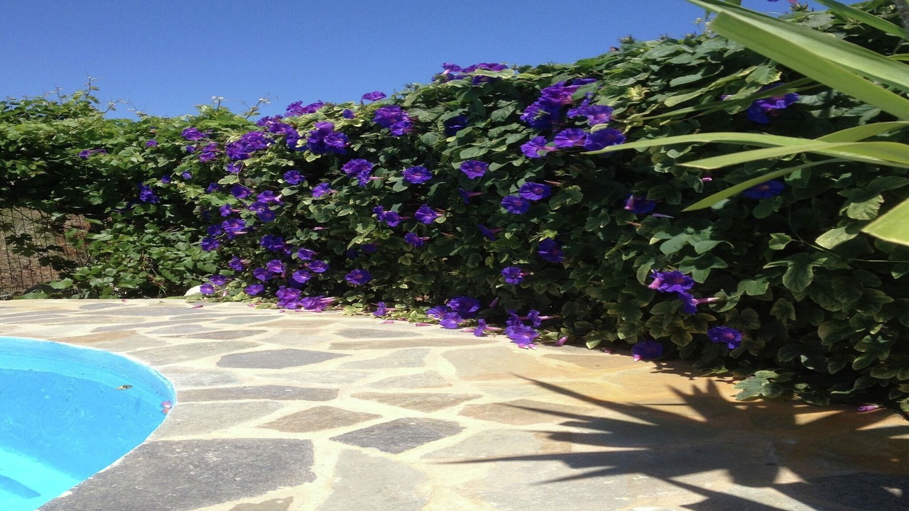 Photo of Outdoor in Atsipópoulon